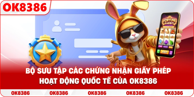 Hình ảnh bộ sưu tập các chứng nhận Giấy phép hoạt động quốc tế của OK8386